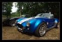 Cobra replica-10.png